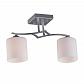 Потолочная люстра Omnilux Pisticci OML-55307-02 - фото №1