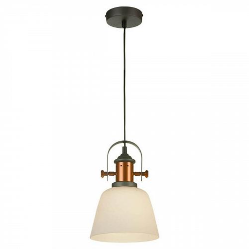 Подвесной светильник Lussole Loft LSP-9846