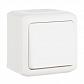 Выключатель одноклавишный Legrand Quteo 10A 250V IP44 белый 782300 - фото №1