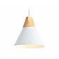 Подвесной светильник Ambrella light Traditional TR8195 - фото №1