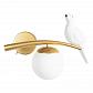 Бра Arte Lamp Eltanin A3422AP-1GO - фото №1