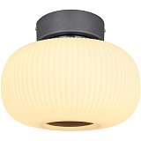 Потолочный светодиодный светильник Globo Boomer 15437D