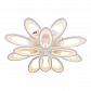 Потолочная светодиодная люстра Escada 10238/12LED - фото №7