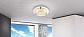 Потолочный светодиодный светильник Globo Froo 48246 - фото №2