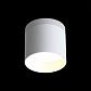 Потолочный светодиодный светильник ST Luce Panaggio ST102.502.09 - фото №4