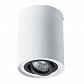 Потолочный светильник Arte Lamp A5644PL-1WH - фото №1