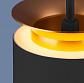 Подвесной светодиодный светильник Elektrostandard DLS021 9+4W 4200К черный матовый/золото a045504 - фото №3