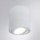 Потолочный светильник Arte Lamp Fang A5559PL-1WH - фото №4