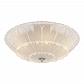 Потолочный светильник Lightstar Zucche 820264 - фото №1