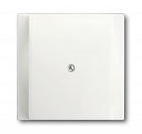 Лицевая панель ABB 2CKA001753A0172