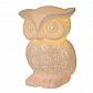 Настольная лампа Lucide Owl 13505/01/31 - фото №2