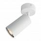 Спот Arte Lamp A3216PL-1WH - фото №1