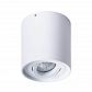 Потолочный светильник Arte Lamp Falcon A5645PL-1WH - фото №1