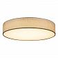 Потолочный светодиодный светильник Globo Paco 15185D4 - фото №1