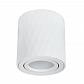 Потолочный светильник Arte Lamp Fang A5559PL-1WH - фото №1