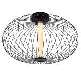 Потолочный светодиодный светильник Lucide Carbony 20114/50/30